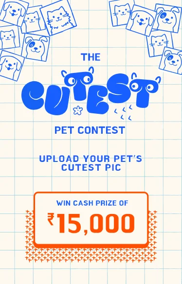cutest pet contest