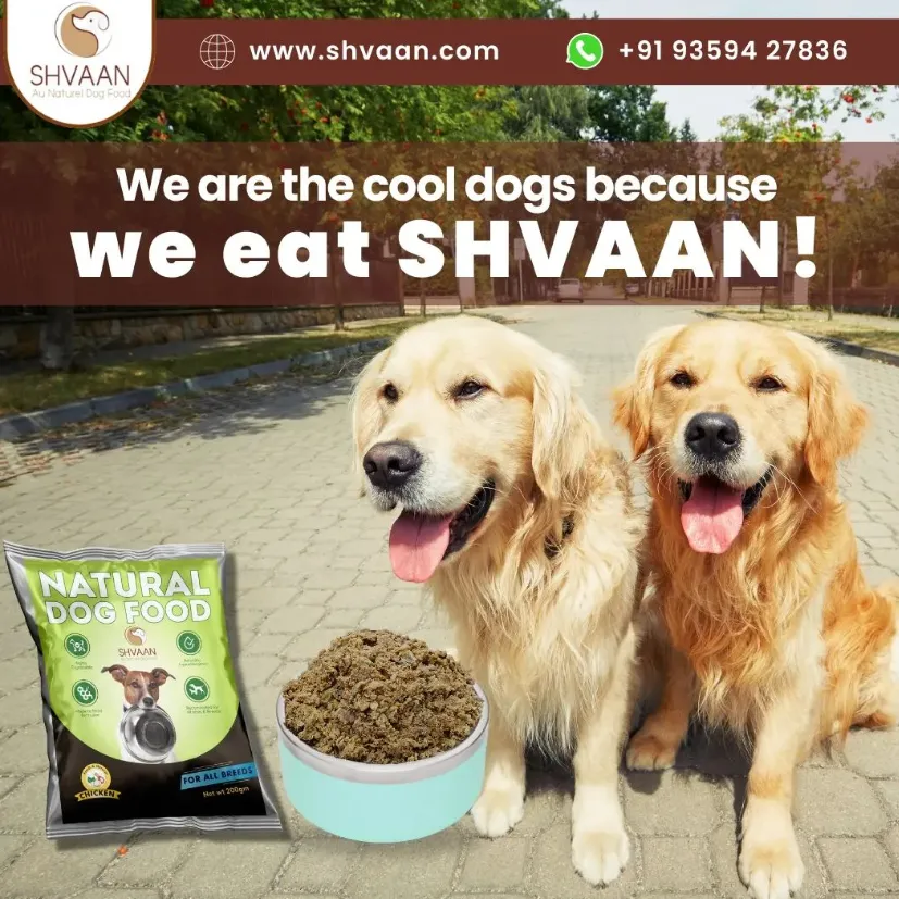 Shvaan
