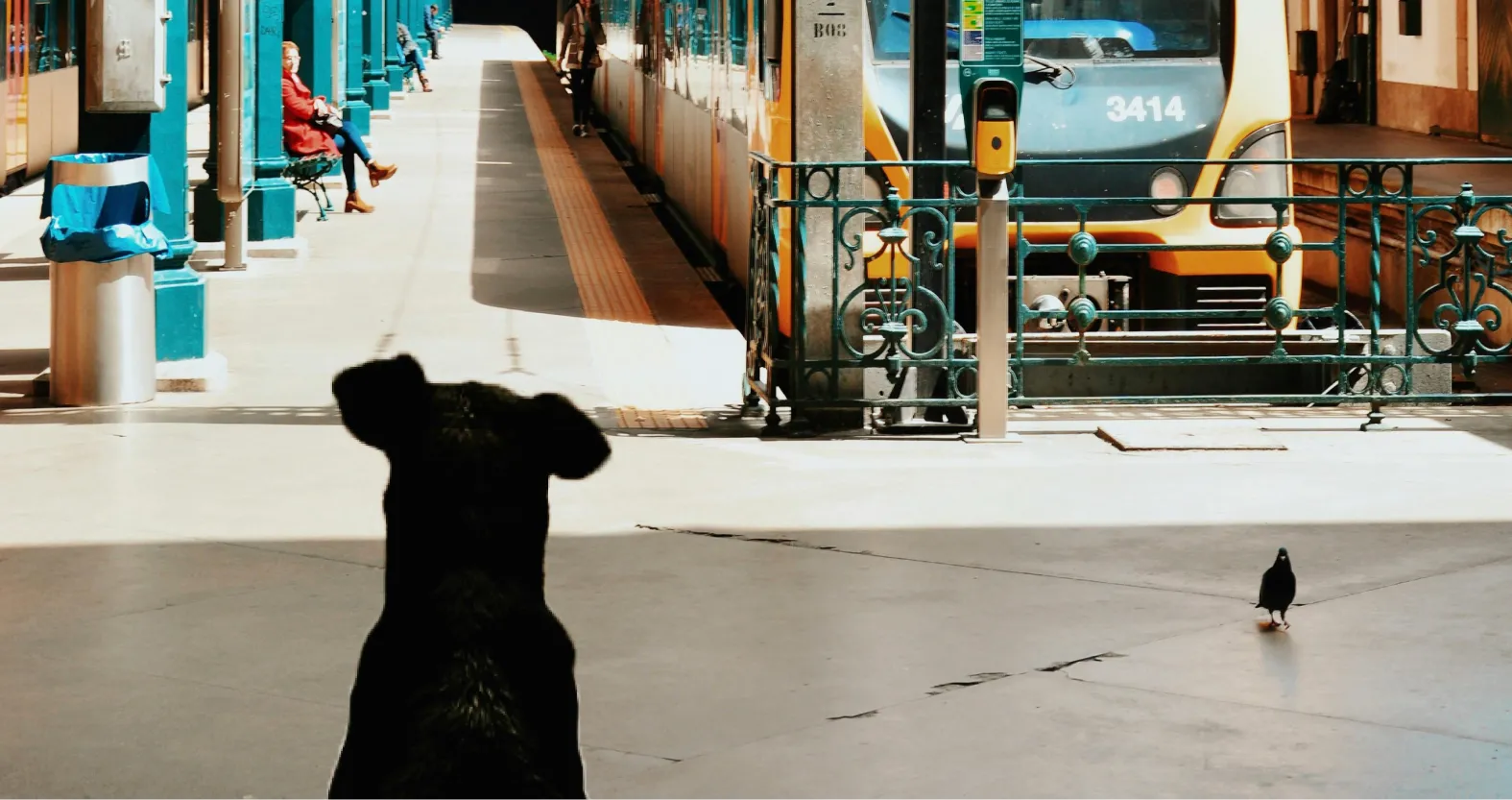 Travelling with your furry friend on Indian Trains: Rules and Charges