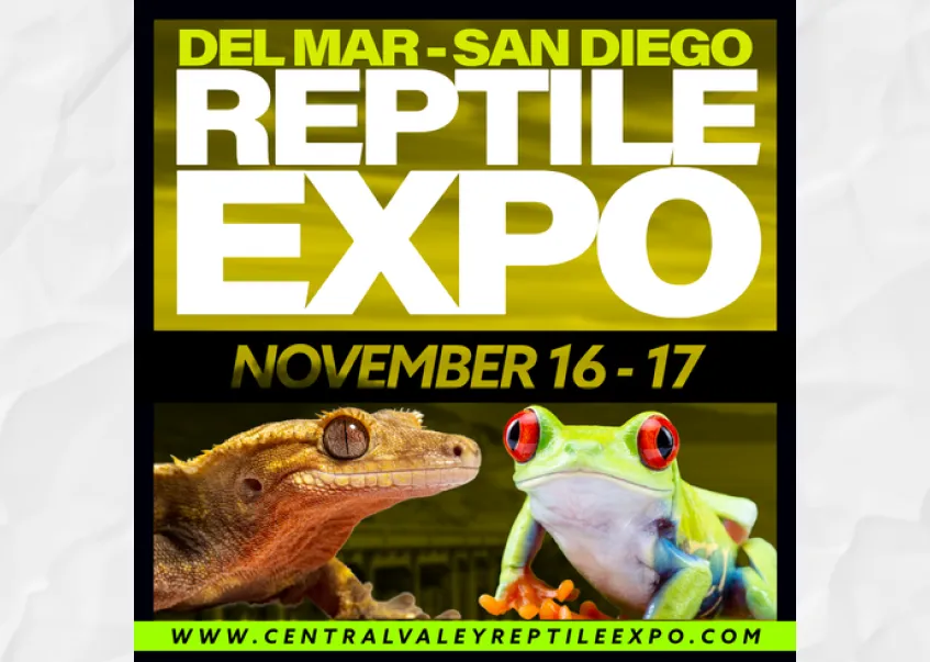 Reptile Expo - San Diego Del Mar