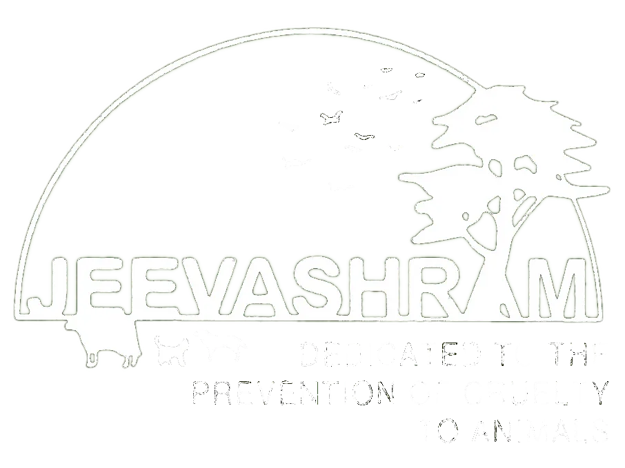 Jeevashram Foundation