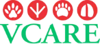VCARE (Vadodara Center for Animal Rescue and Emergency)
