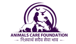 Animals Care Foundation
