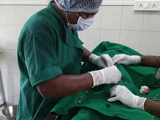 IDA(In Defense Of Animals)