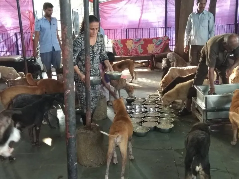 IDA(In Defense Of Animals)