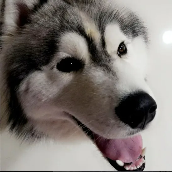 Rudra