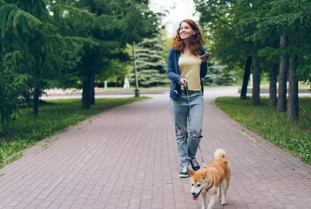 Best tips about winter walks