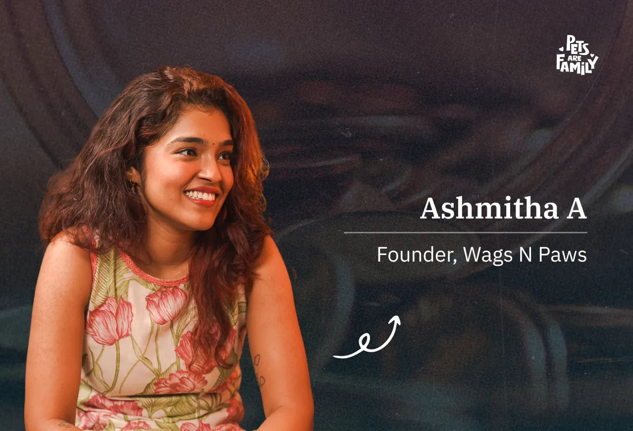 From US taxing consultant to founding Wags N paws