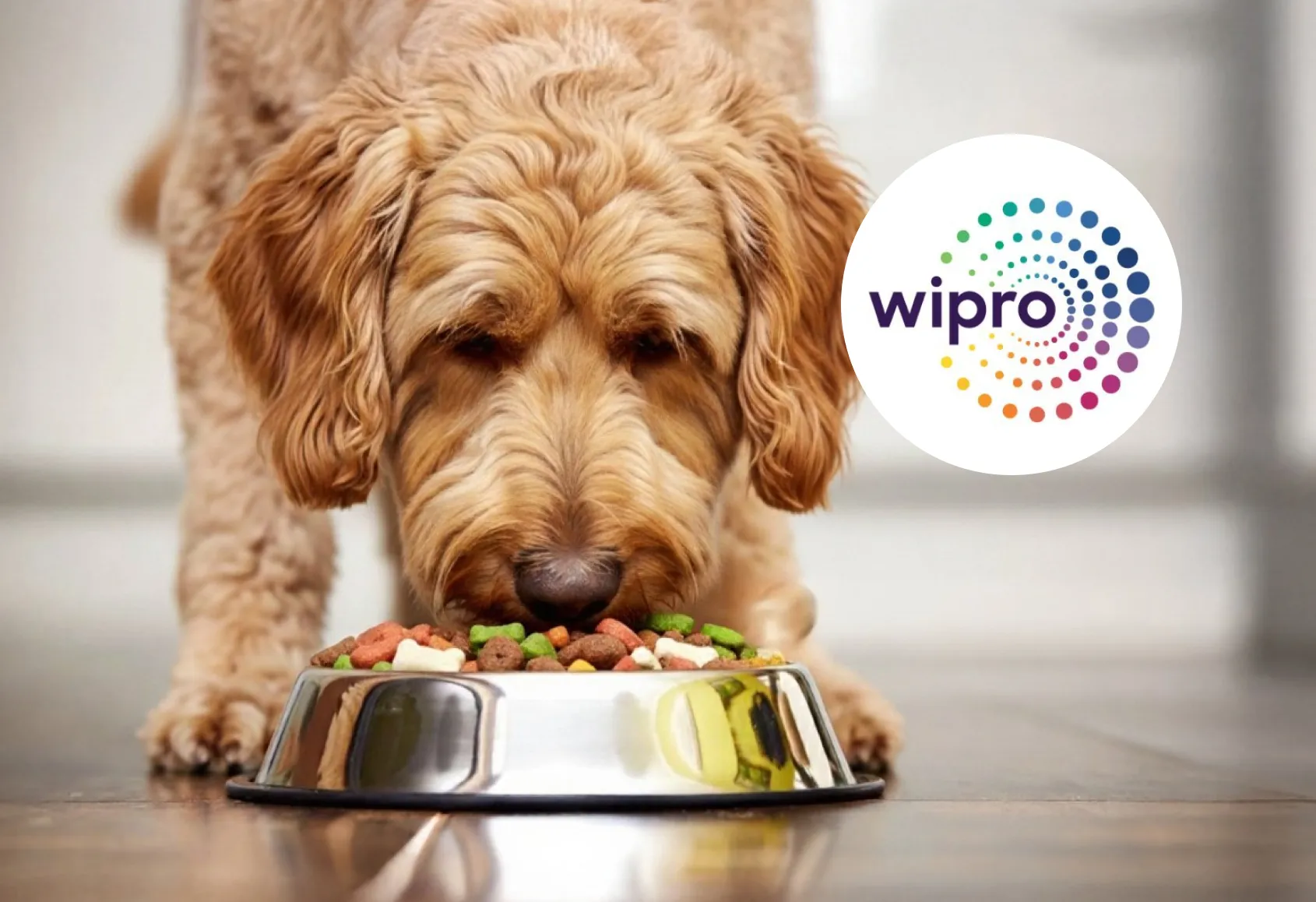 a dog eating a food with a wipro logo