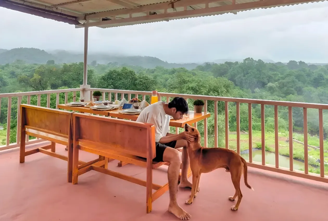 a boy playing with the dog