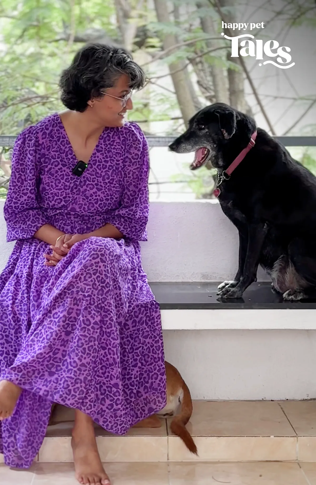 Pets - Diva & Tara