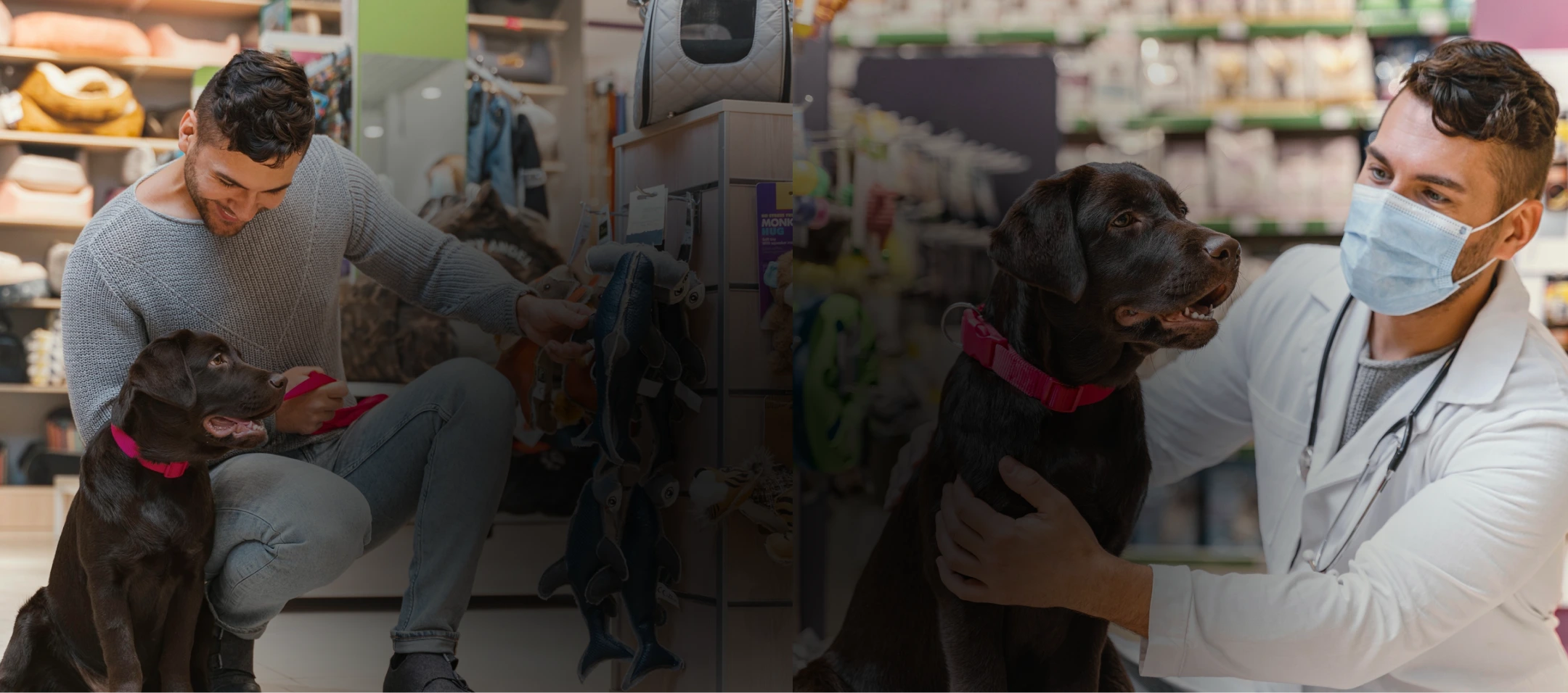 Find The Best Pet Businesses Nearby Banner