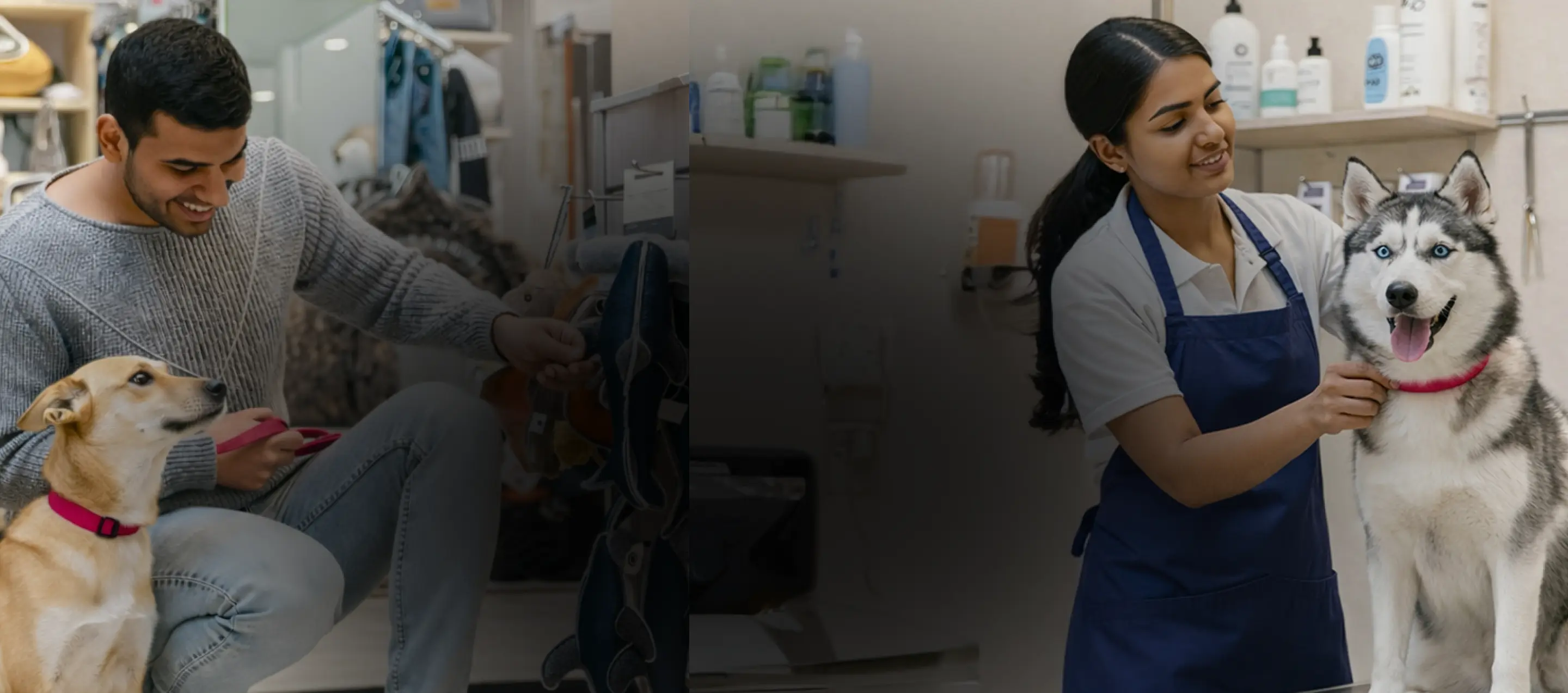 Find The Best Pet Businesses Nearby Banner