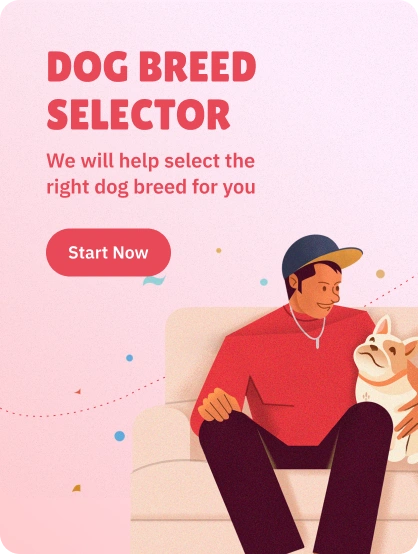 breed-selector-tool
