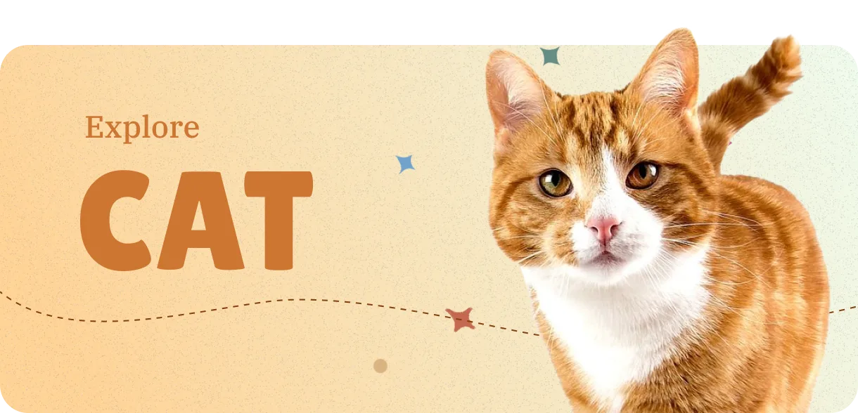 Discover cat-breeds information