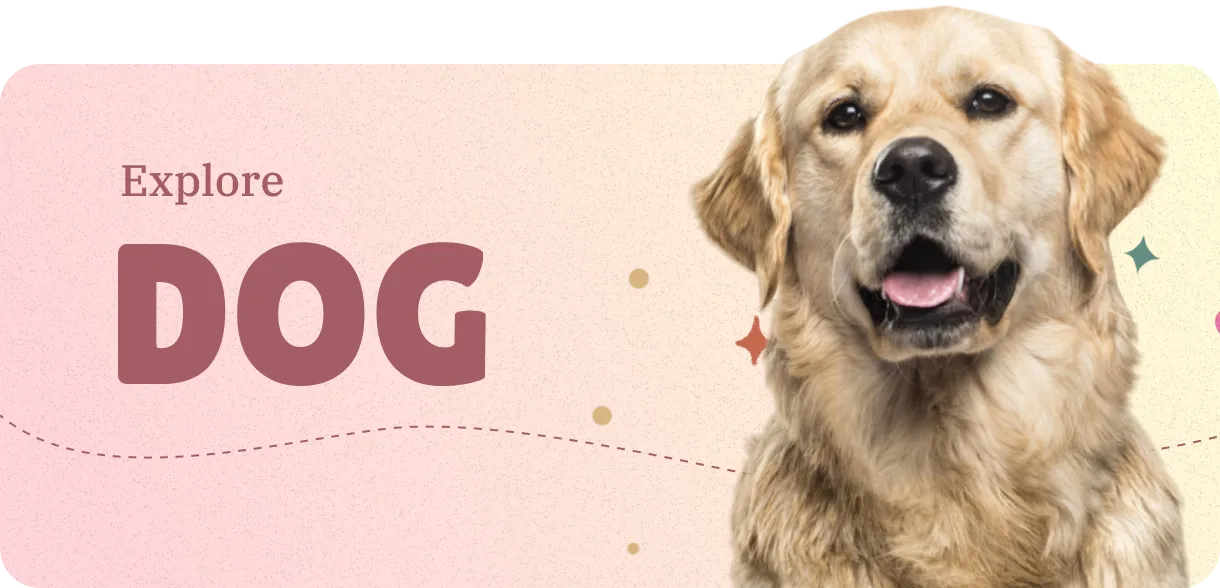 Discover dog-breeds information