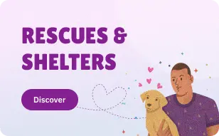 puppies