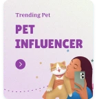 pet world