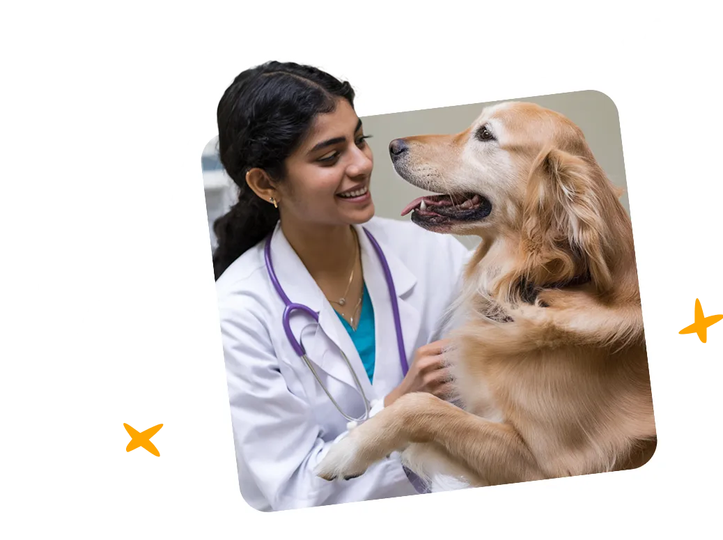 Vet with Dog
