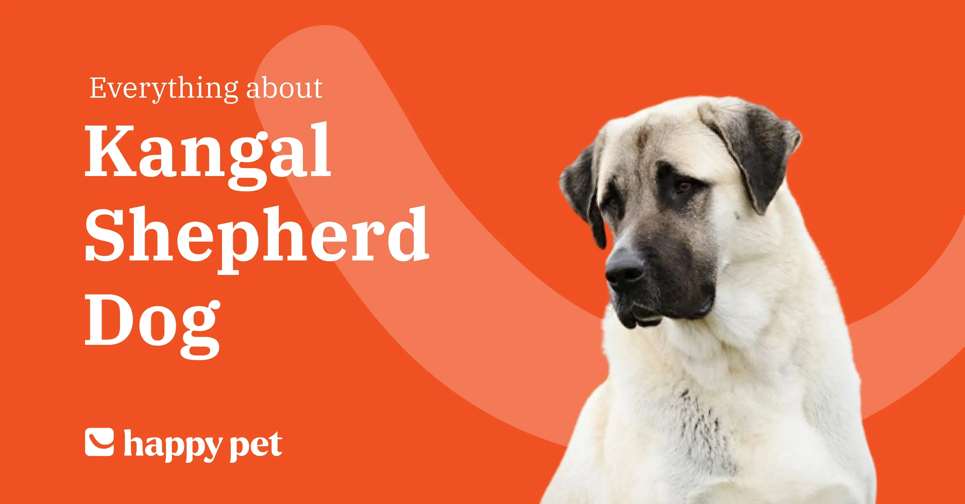 Kangal Shepherd Dog Guide Temperament, Nutrition & Care(01)