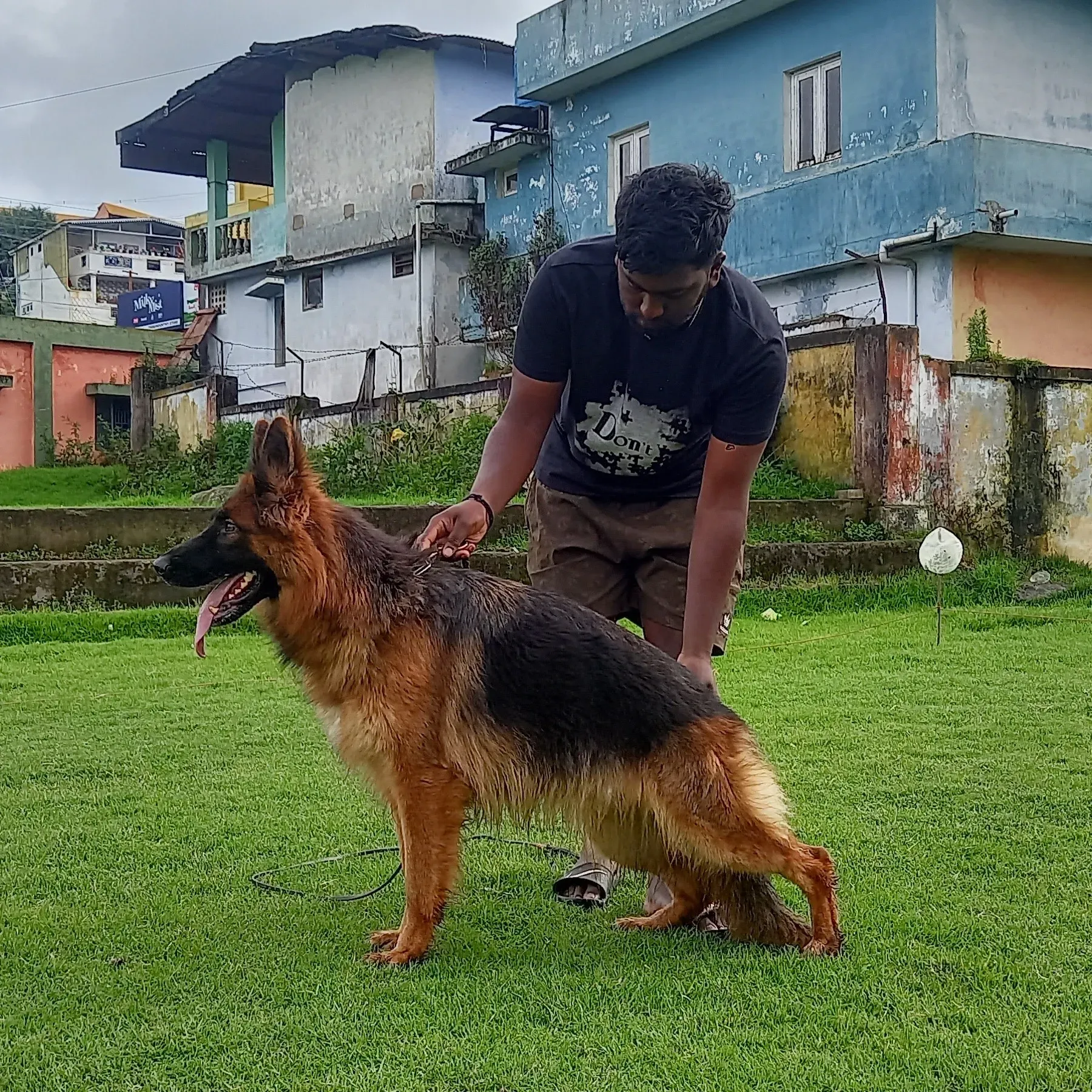 puppie_image
